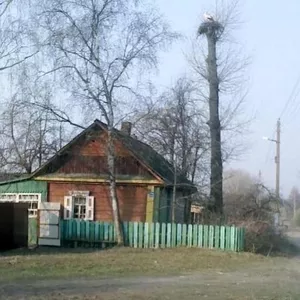   Продаётся Усадьба в центре села Курчичи.  